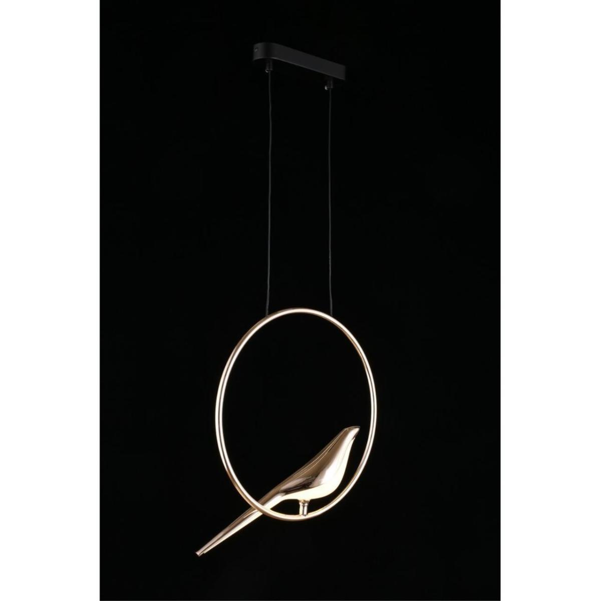 Подвесной светодиодный светильник Aployt Astor APL.822.06.10