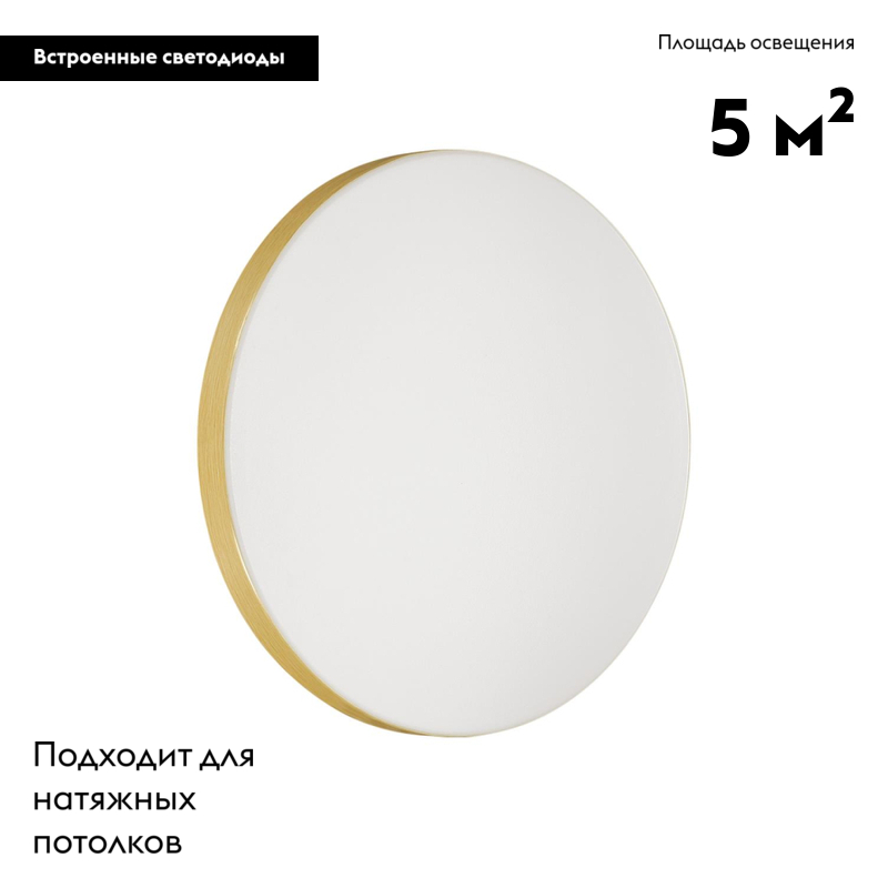 Настенно-потолочный светильник Sonex Smalli 3066/AL