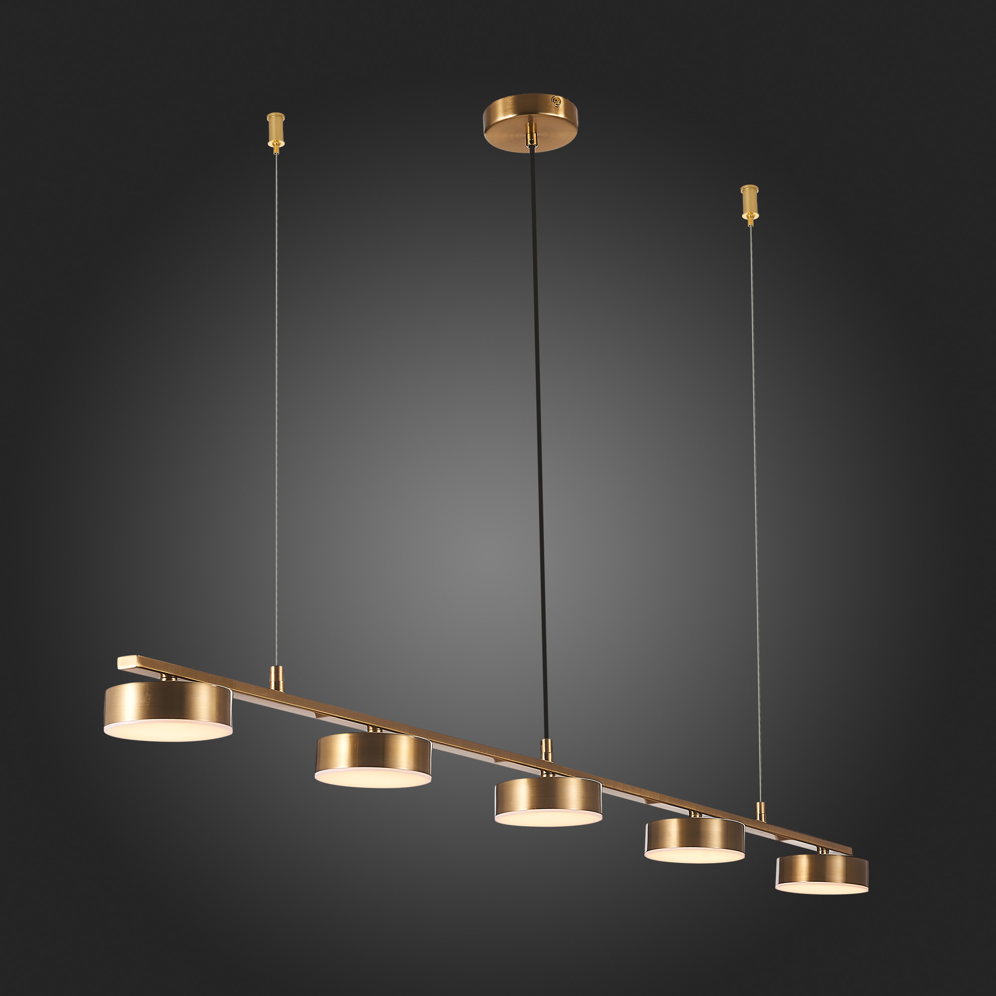 Подвесная светодиодная люстра ST Luce Pances SL6000.303.05 в Москве