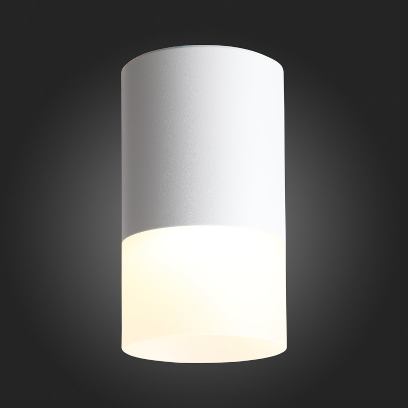 Потолочный светодиодный светильник ST Luce Ottu ST100.542.05