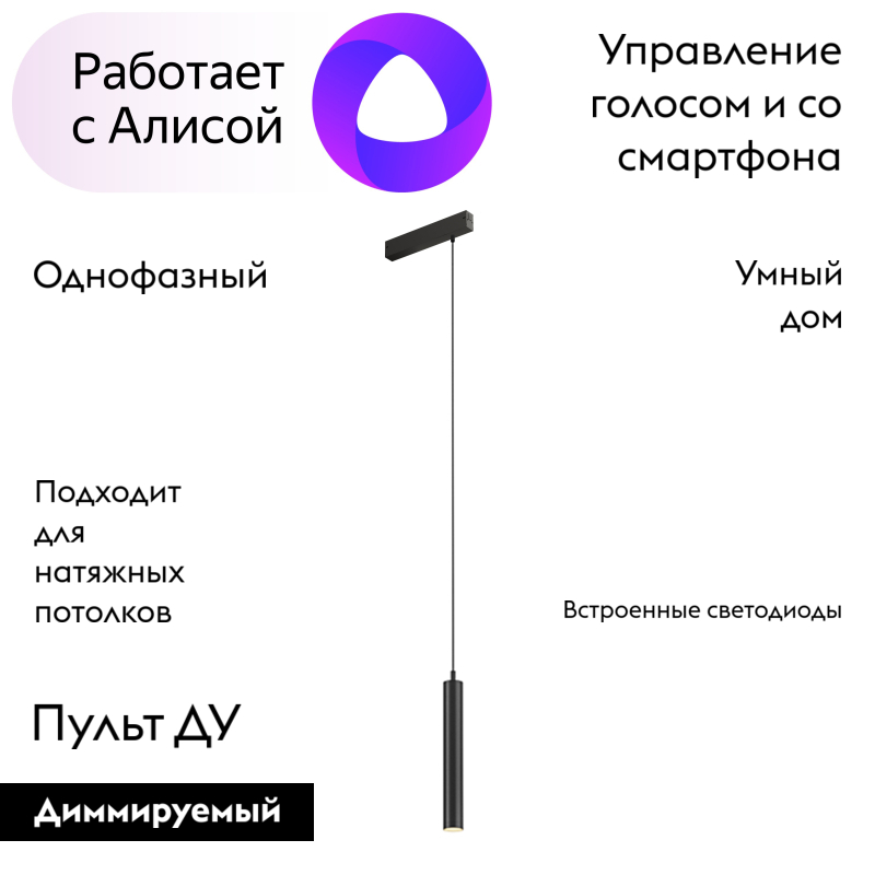 Трековый светильник Denkirs Smart DK8008-BK