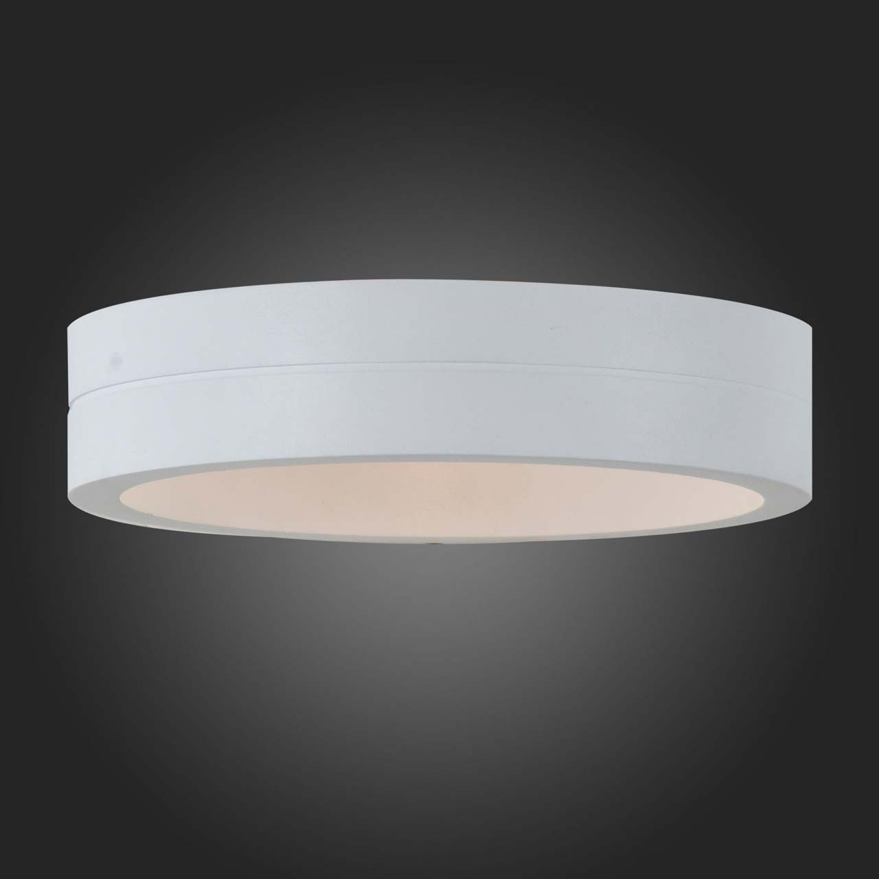 Уличный настенный светодиодный светильник ST Luce SL562.501.01