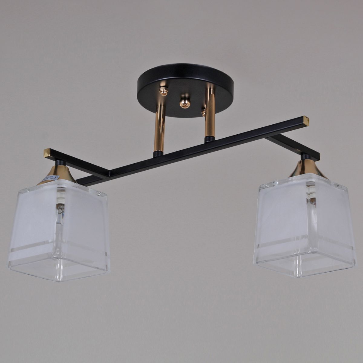 Потолочный светильник Reluce 46460-0.3-02 BK+FG