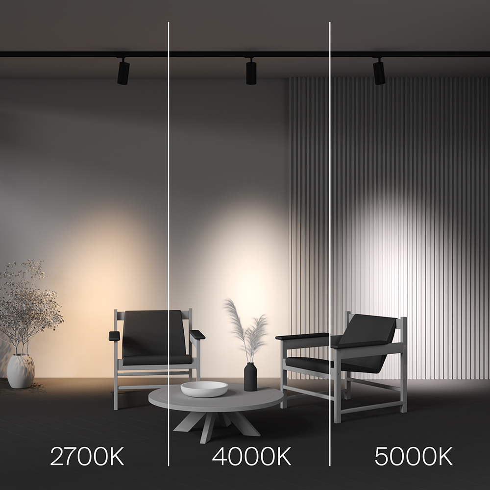 Трековый трехфазный светильник Maytoni Focus Led TR197-3-30WCCT-M-B