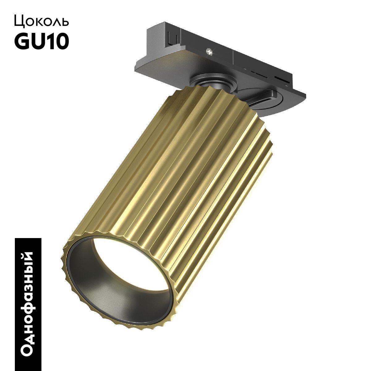 Трековый однофазный светильник Maytoni Calipso TR218-1-GU10-BS