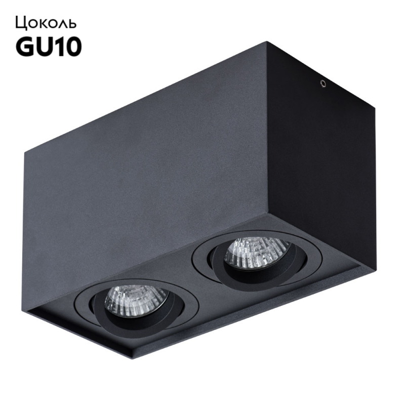 Потолочный светильник Arte Lamp Factor A5544PL-2BK