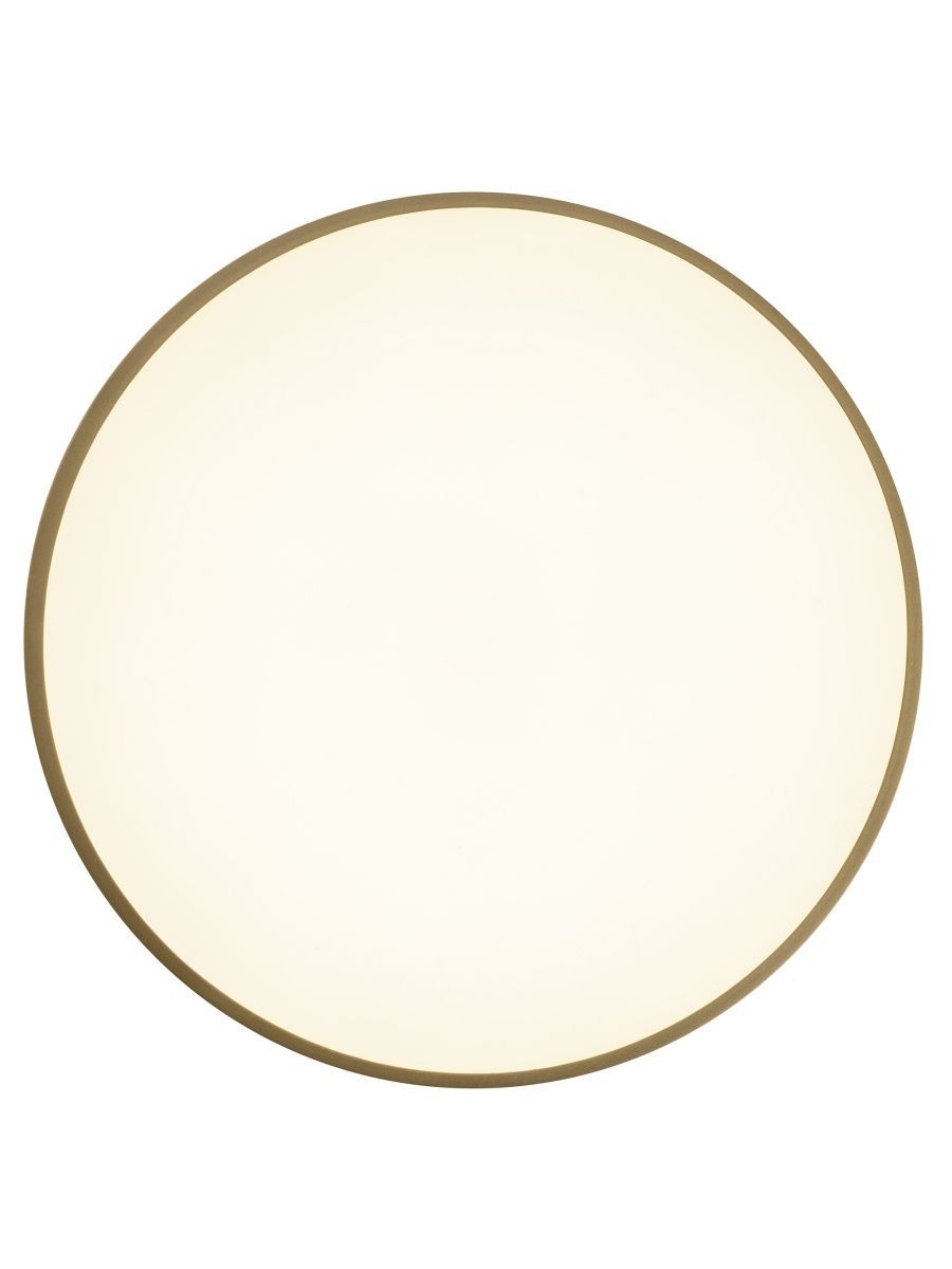 Потолочный led светильник Zortes Gabby ZRS.90610.40