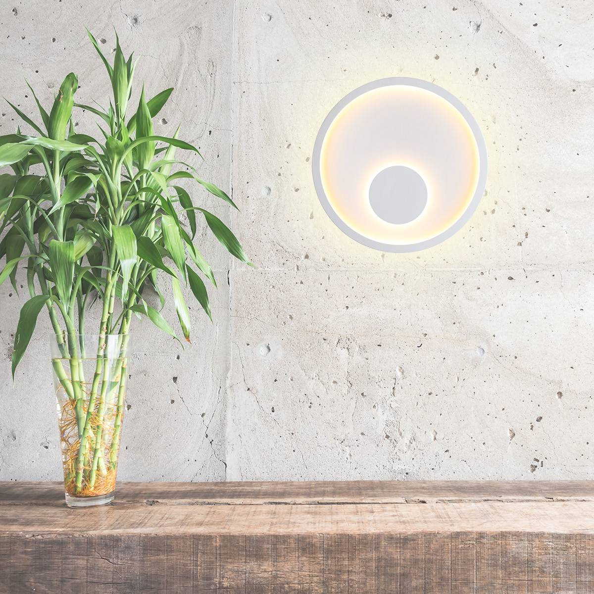 Настенный светодиодный светильник Odeon Light Espero 3867/24WL