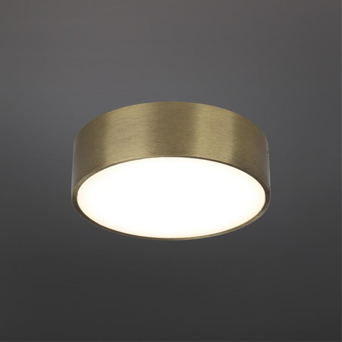 Потолочный светильник Aployt Evon APL.0114.29.12