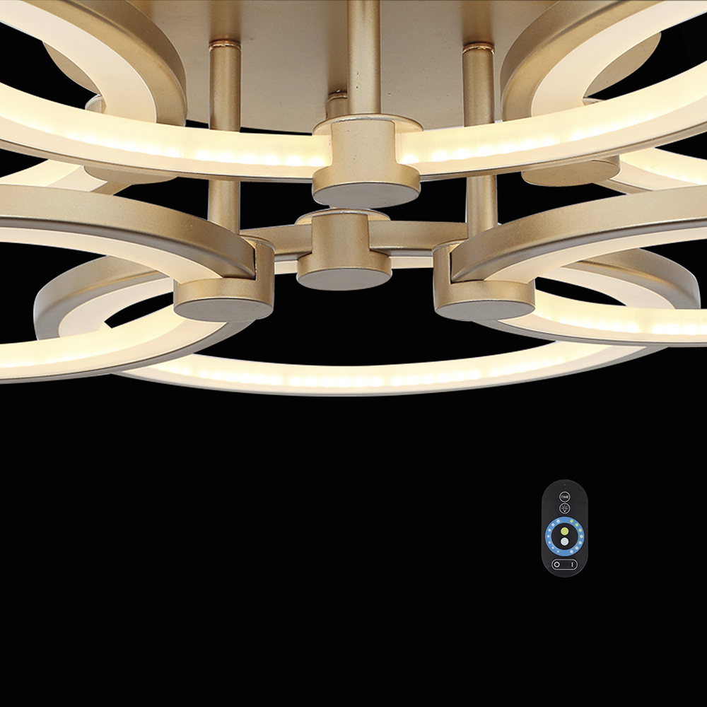 Потолочная светодиодная люстра ST Luce Twiddle Dimmer SL867.202.06