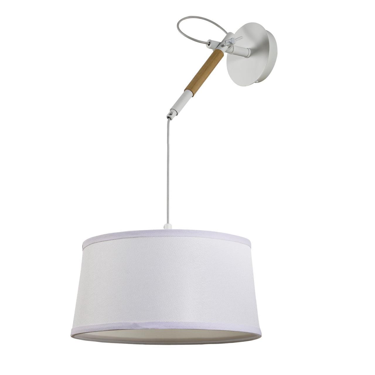 Настенно-потолочный светильник F-Promo Eureka 3005-1P в Москве