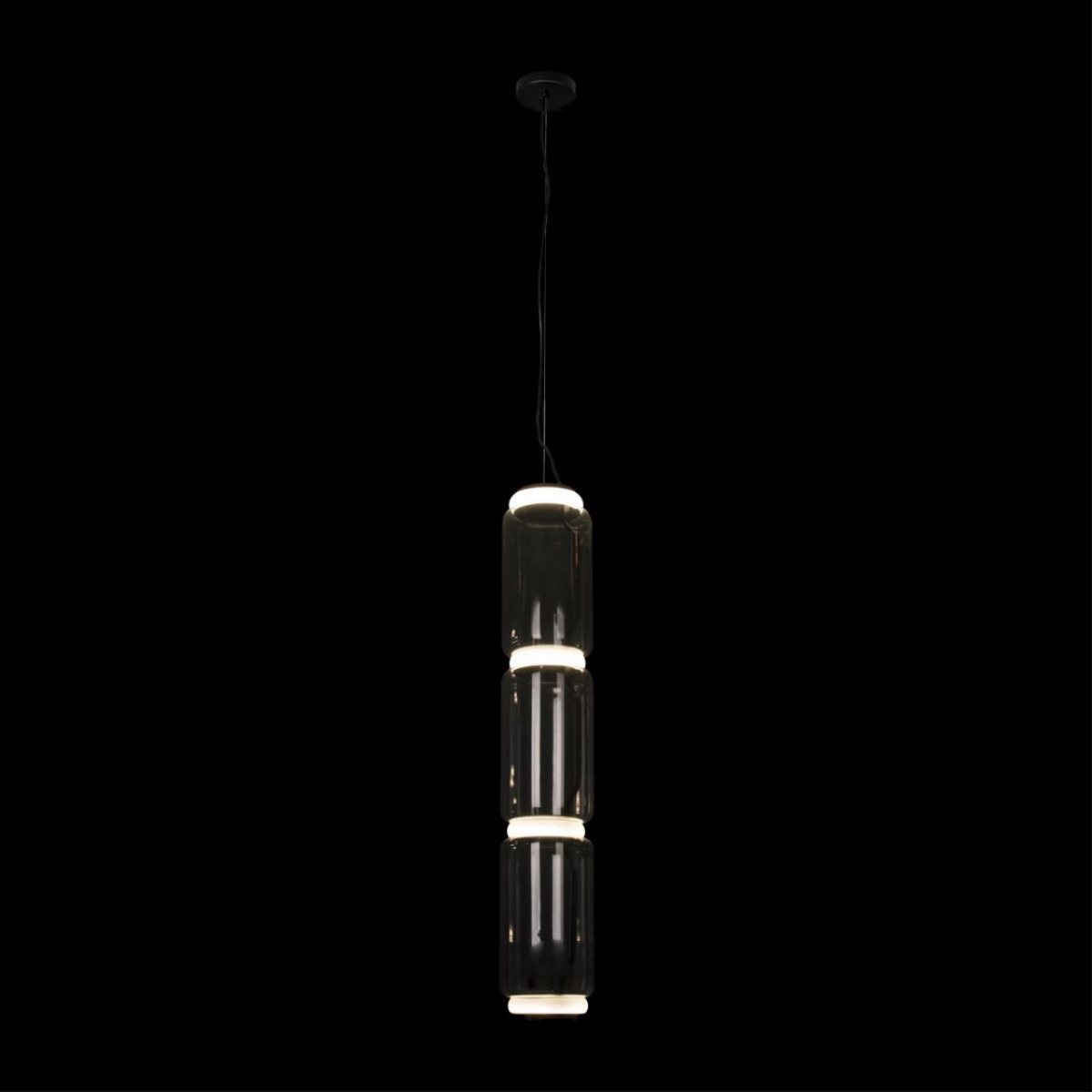Подвесной светильник Loft IT Noctambule 10194/L