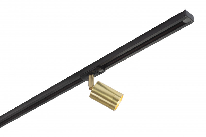 Трековый светильник (золото) Denkirs DK620 DK6201-BS