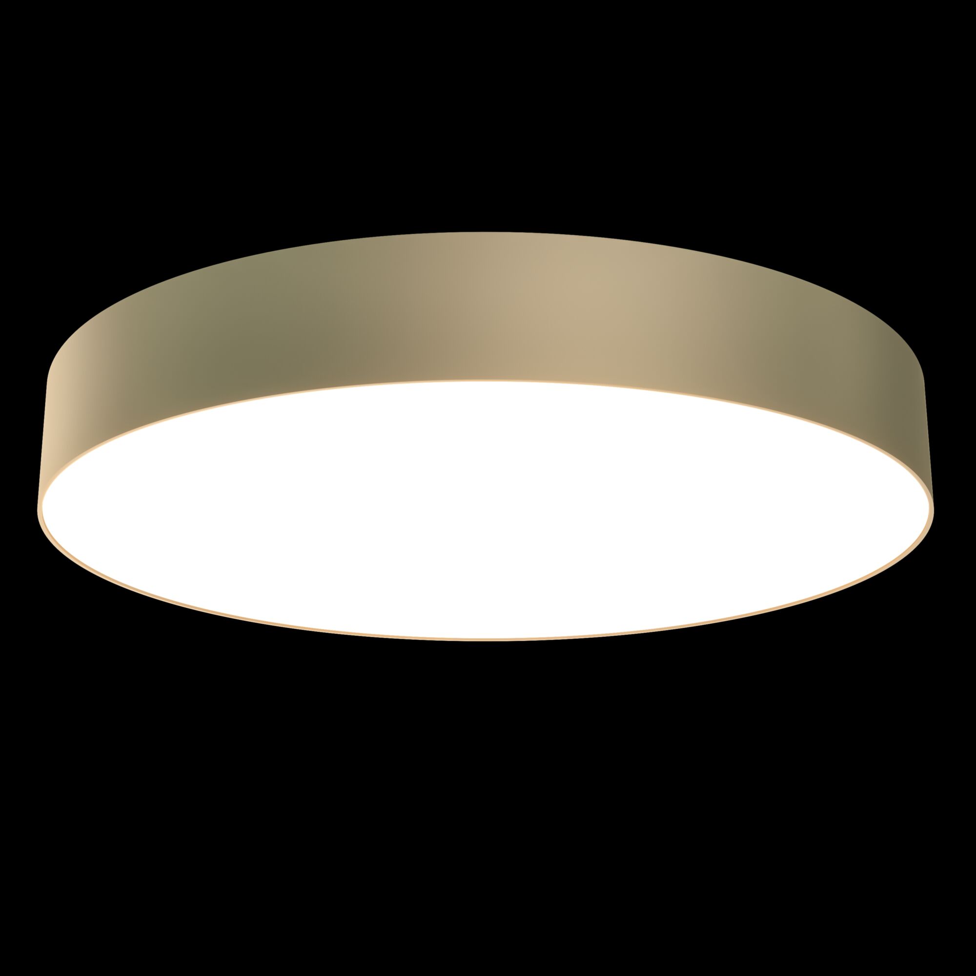 Потолочный светильник Maytoni Technical Zon C032CL-L48MG4K