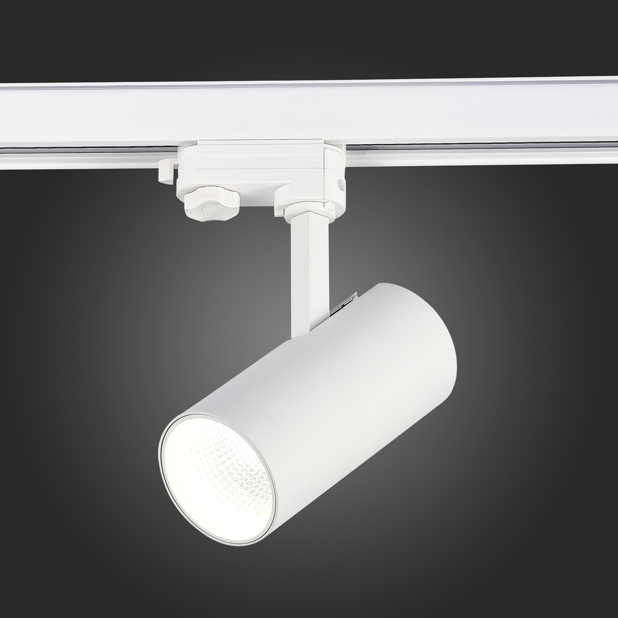 Трековый трехфазный светильник ST Luce ST661.536.20