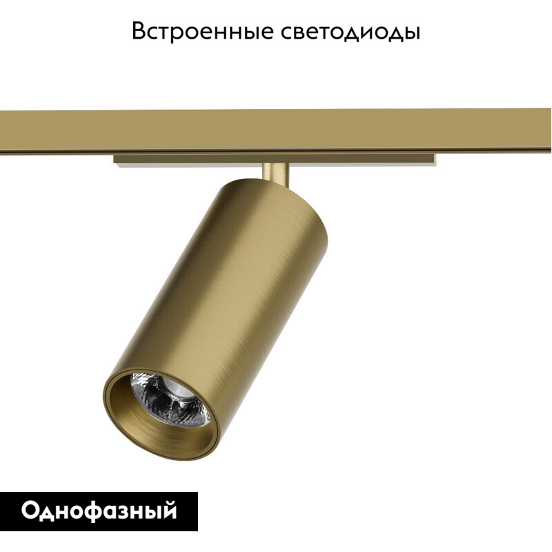 Трековый однофазный светильник Denkirs Shine spot DK5741-SB