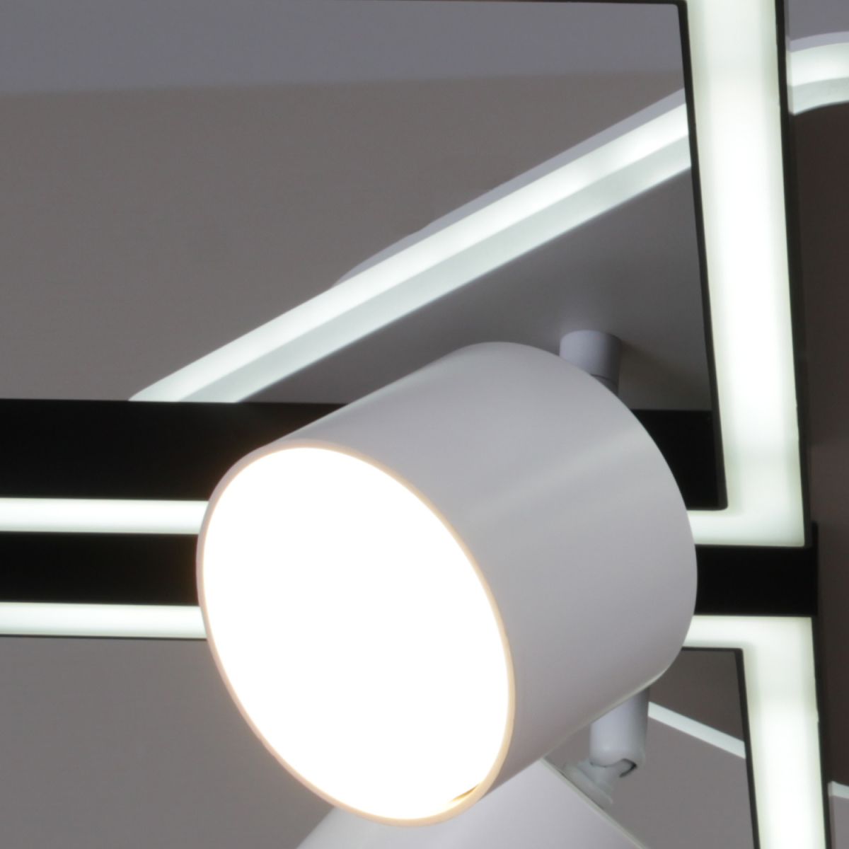 Потолочная люстра Reluce 75406-0.3-4+4+1