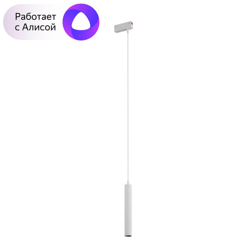 Трековый светильник алюминиевый Denkirs Smart DK8008-WH