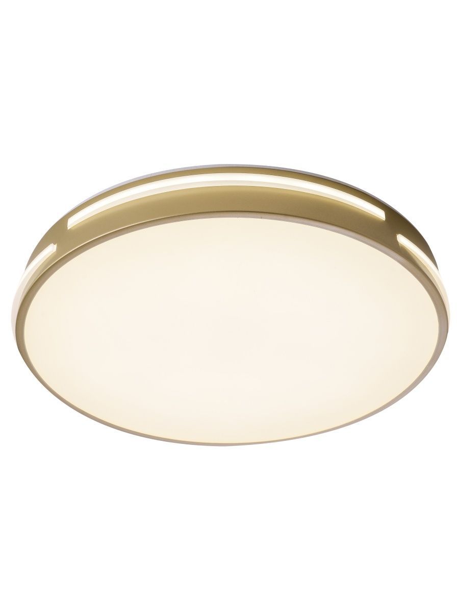 Потолочный led светильник Zortes Gabby ZRS.90610.40