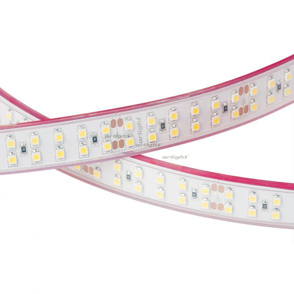 Светодиодная лента Arlight RTW 2-5000P 24V White6000 2x2 (3528, 1200 LED, LUX) 014958