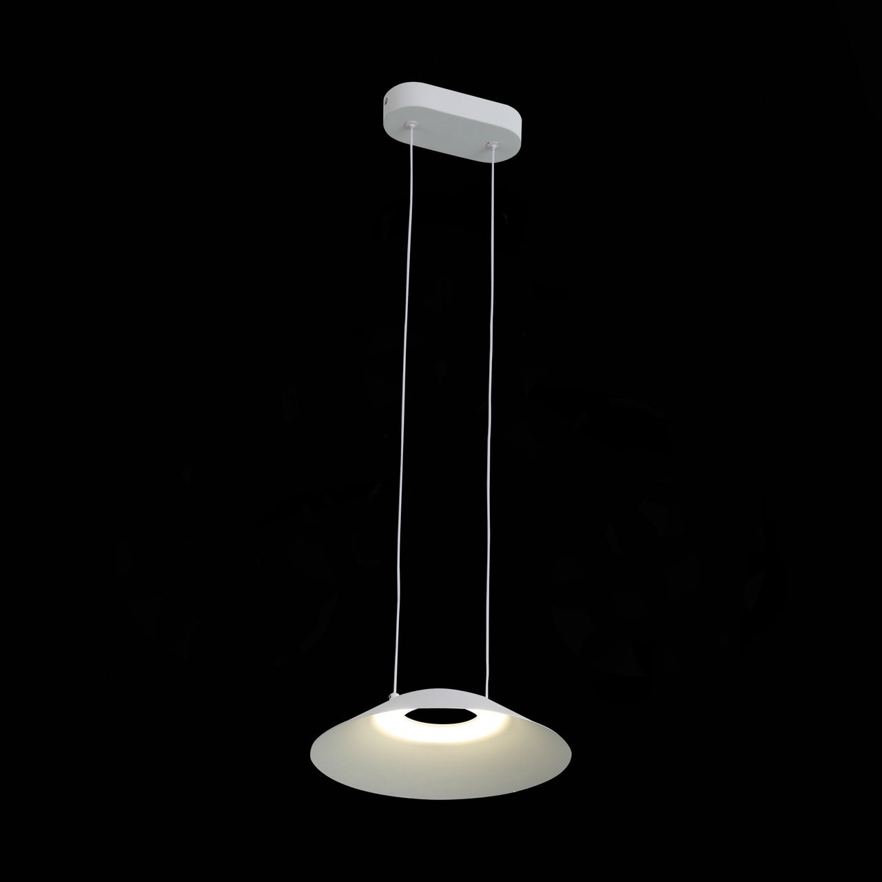 Подвесной светодиодный светильник ST Luce Pitto SL427.503.01