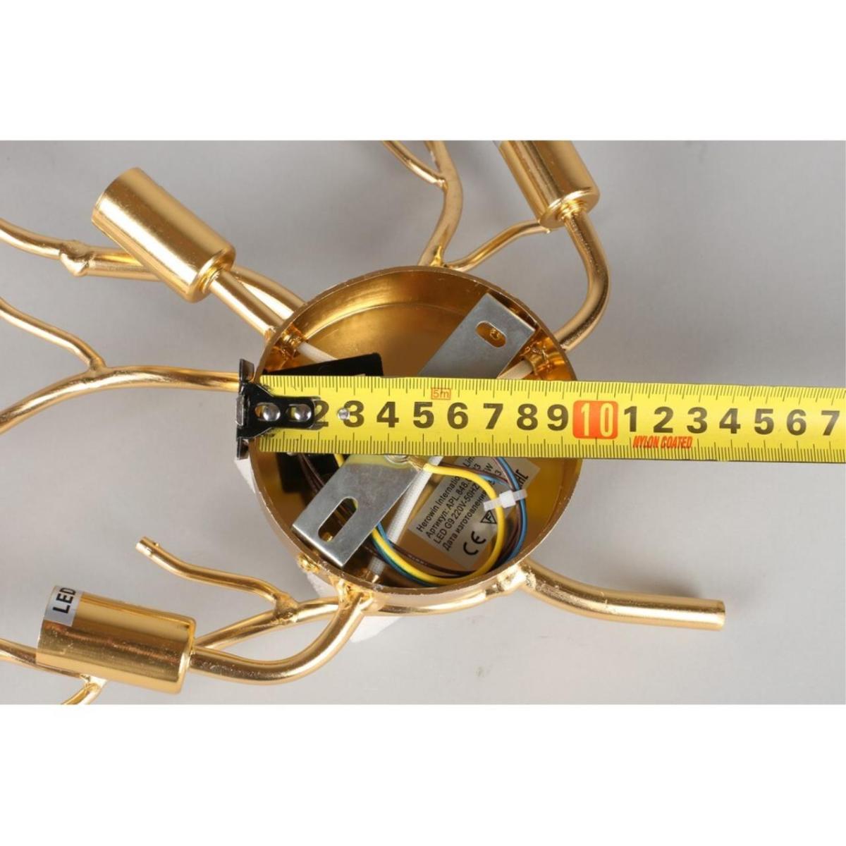 Настенный светильник  Aployt Paulina APL.848.01.03