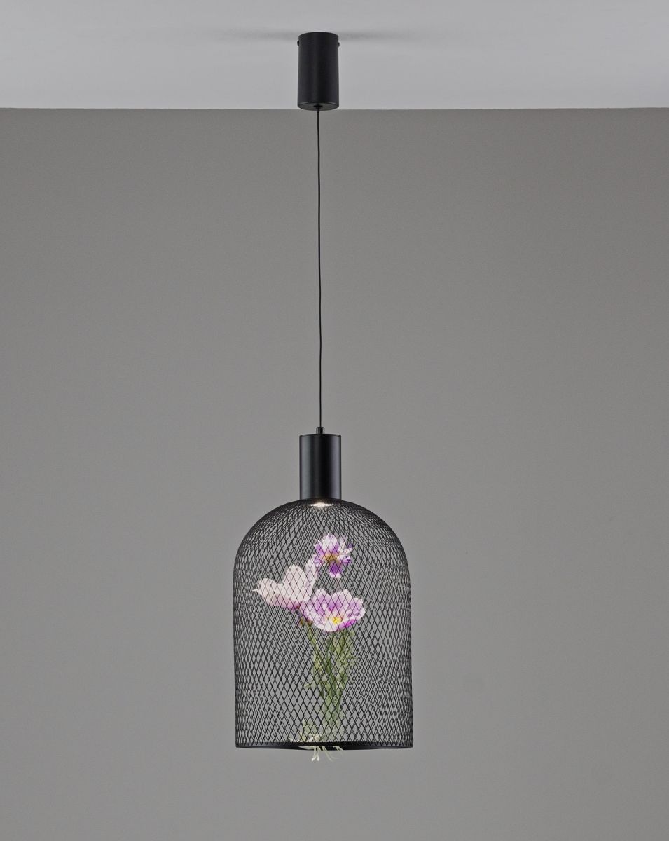 Подвесной светильник Moderli Ophelia V11875-PL