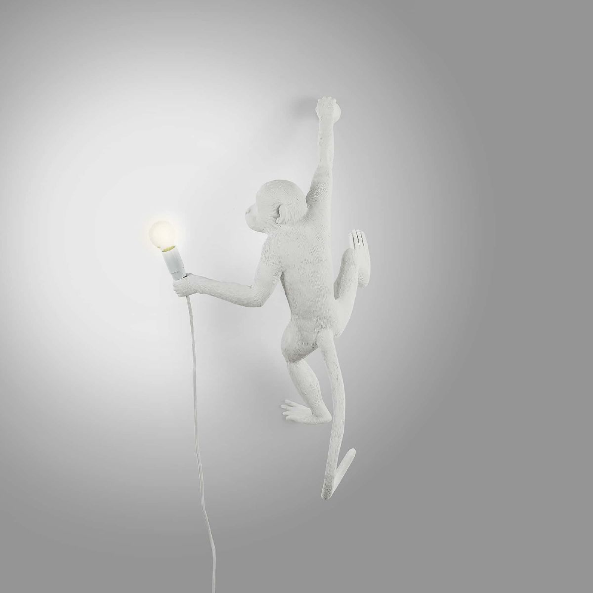 Настенный светильник Seletti Monkey Lamp 14879