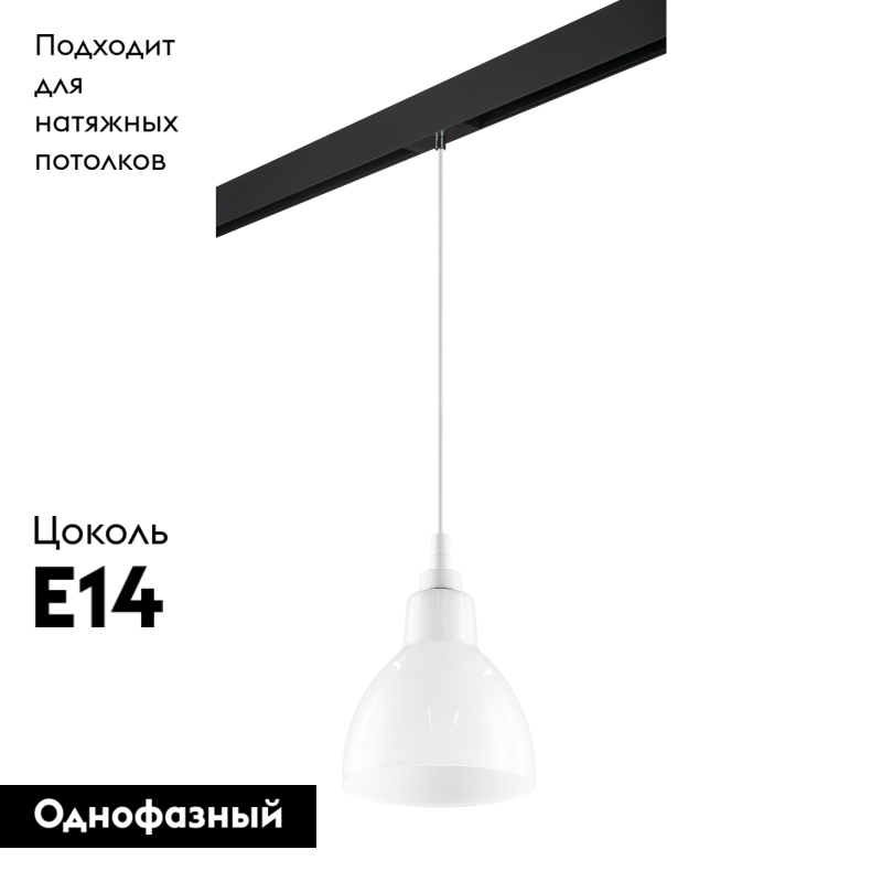 Трековый светильник Lightstar Loft PRO865016 (865016+595007)