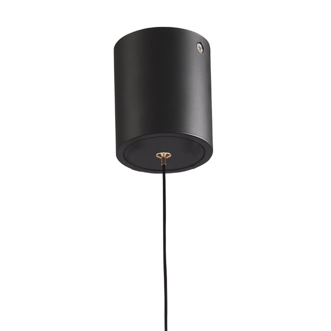 Подвесной светильник Lumien Hall Livin LH8028/1P-BK-PBK-SGD