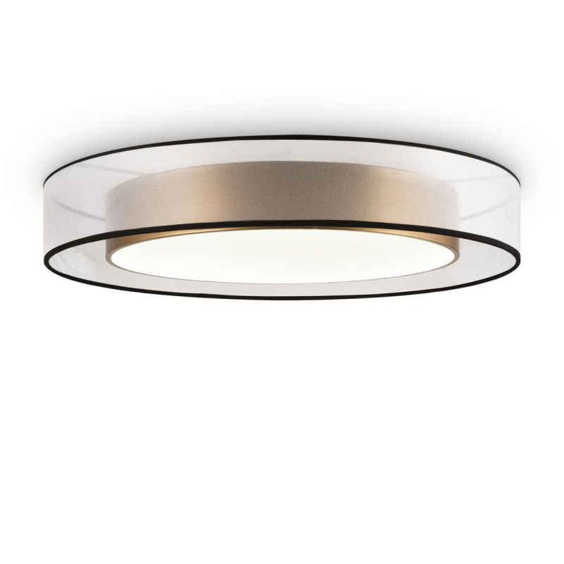 Потолочный led светильник Freya Zoticus FR6005CL-L48G