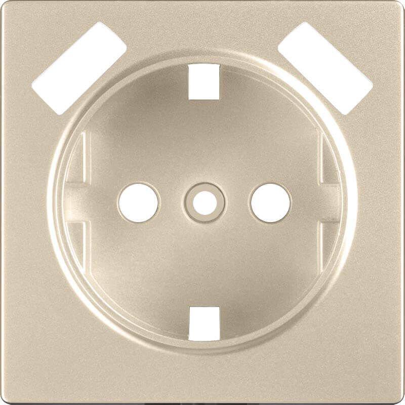 Лицевая панель Werkel розетки USB шампань WL11-USB-CP 4690389124693