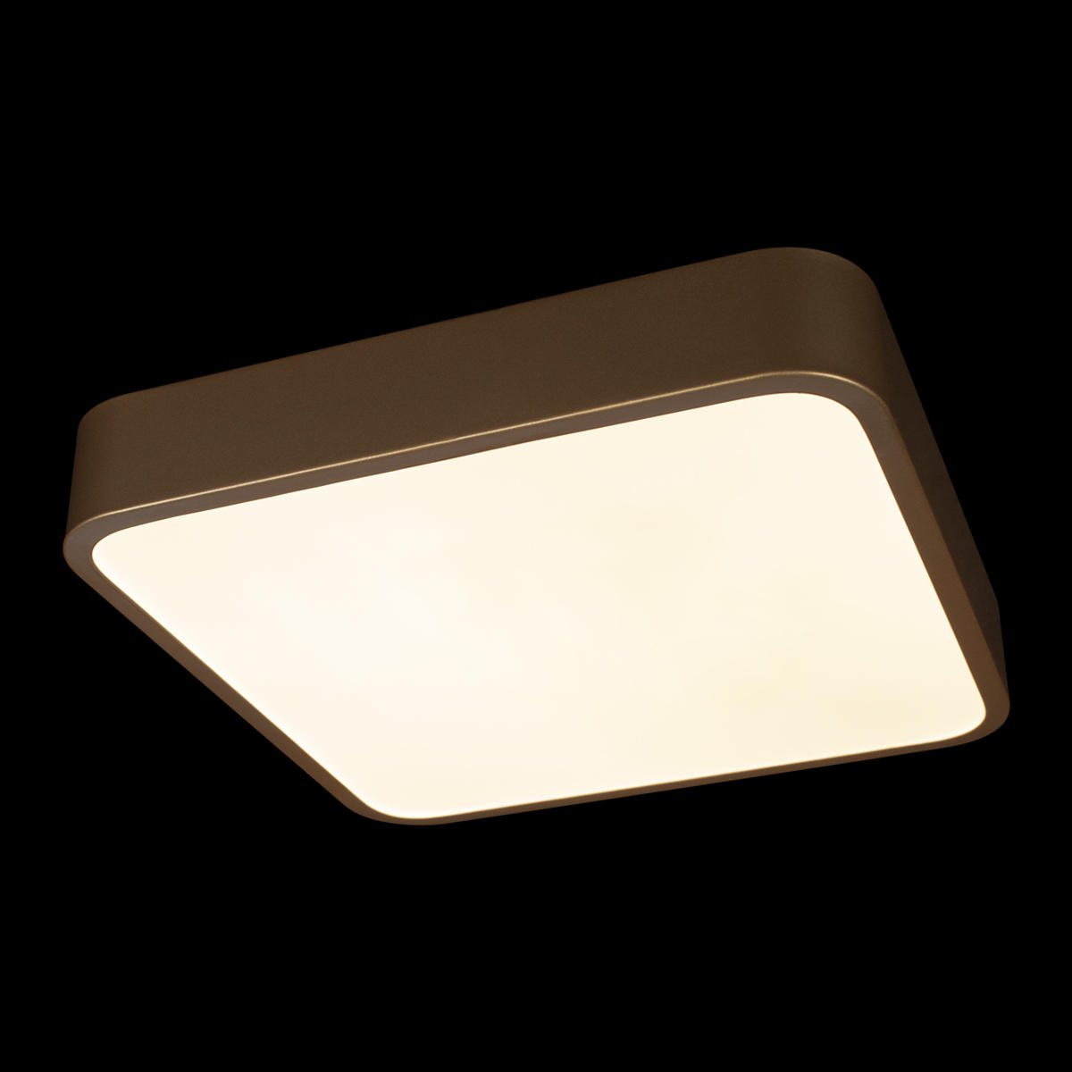 Потолочный светодиодный светильник Loft IT Flims 10228/C