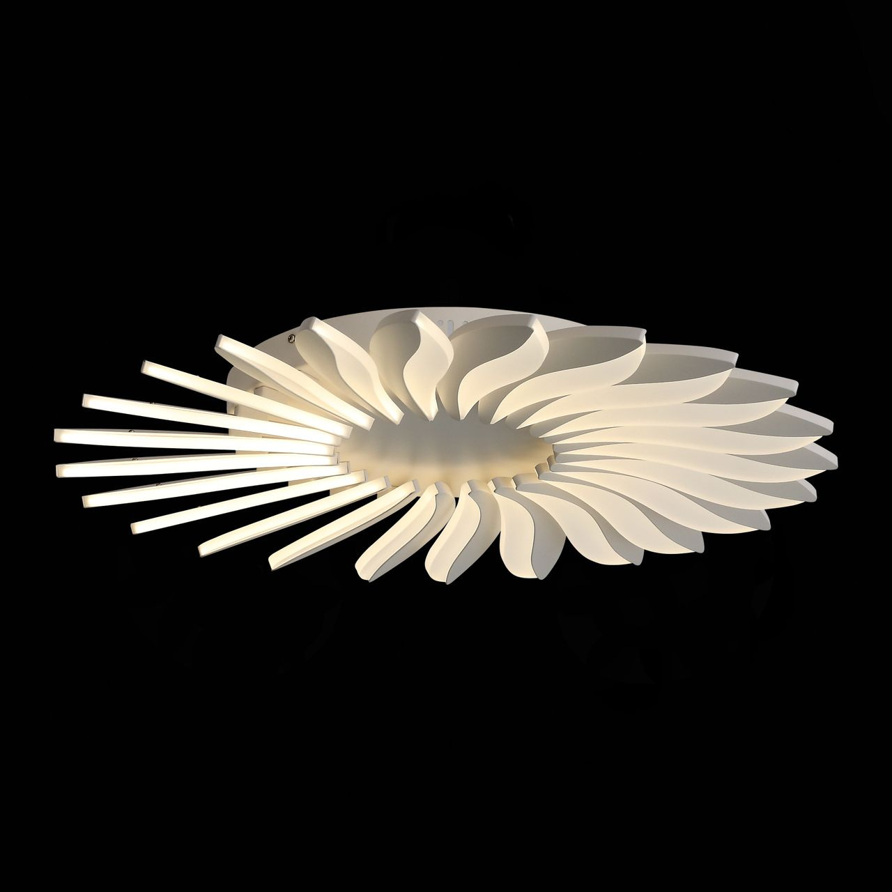 Потолочный светодиодный светильник ST Luce Girasole SL836.502.24