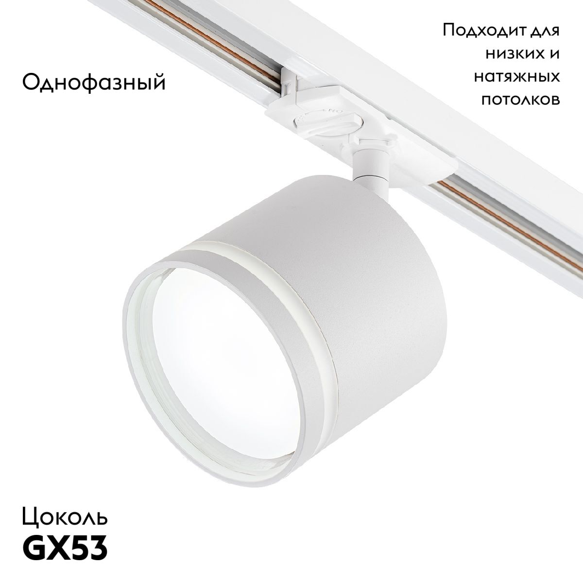 Трековый однофазный светильник Escada 20009TRA/02 SWH