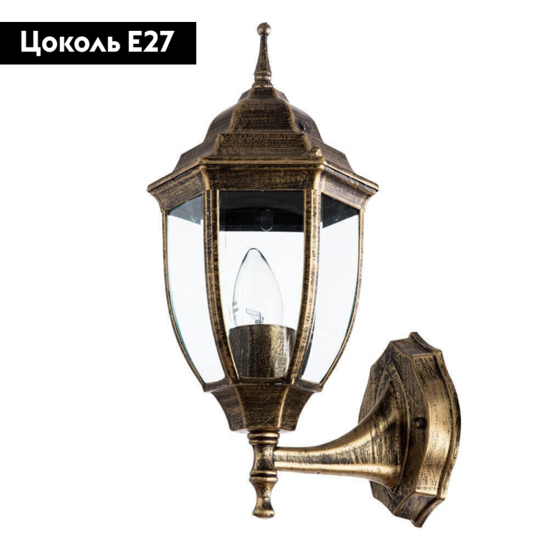 Уличный настенный светильник Arte Lamp Pegasus A3151AL-1BN
