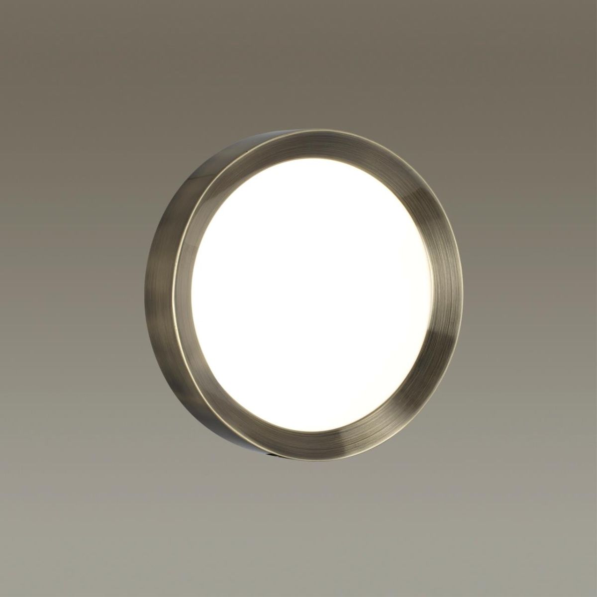 Настенно-потолочный светильник Odeon Light Lunor 4948/30CL