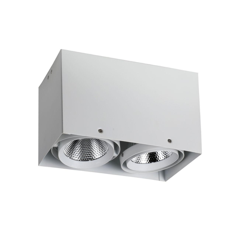 Потолочный светодиодный led светильник Favourite Flashled 1986-2U