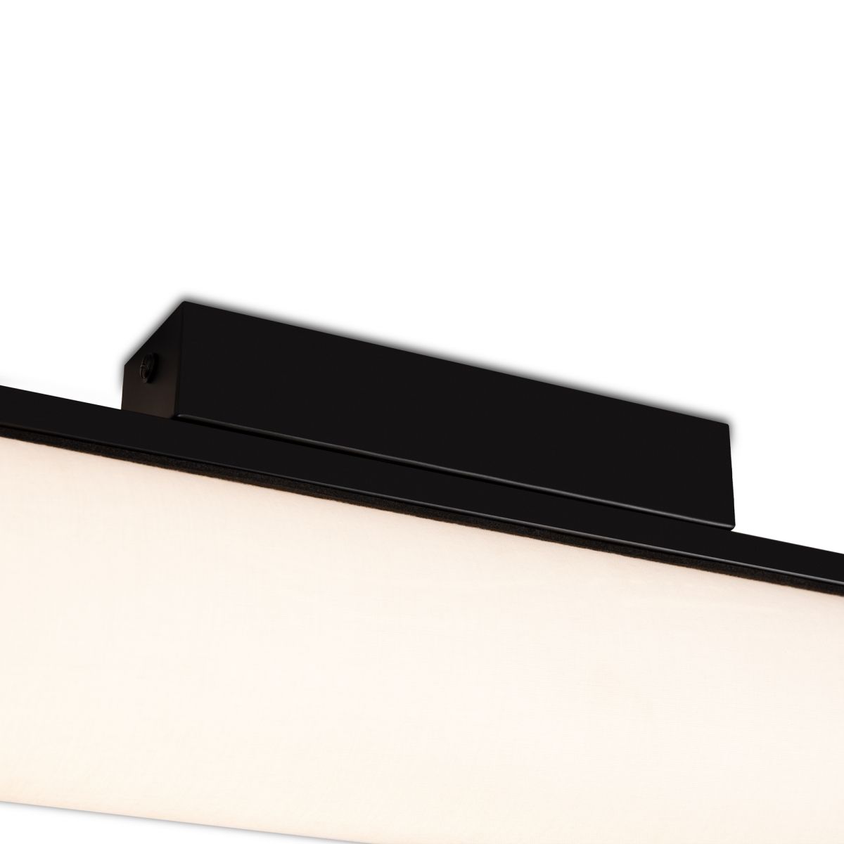 Потолочный светильник Freya Even FR5625CL-L20B