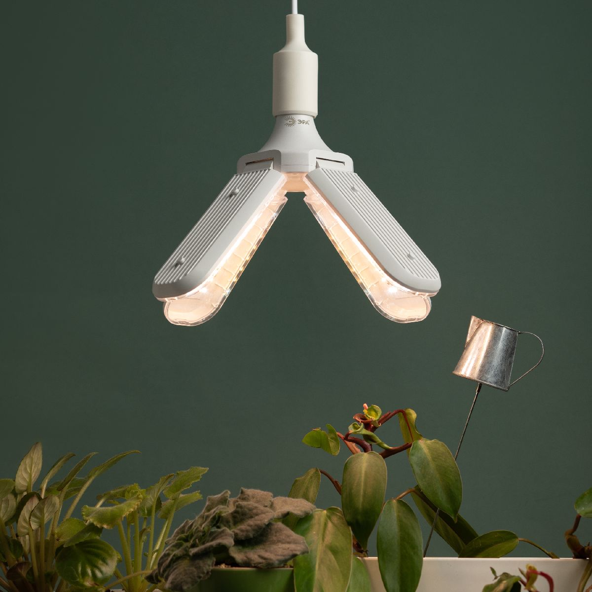 Фитолампа для растений полного спектра Эра ФИТО-40W-PFR-E27-GR Б0064531