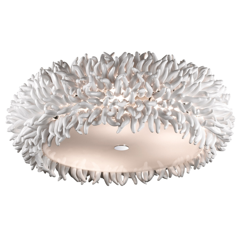 Потолочный светильник овальный Odeon Light Esma 2755/6C