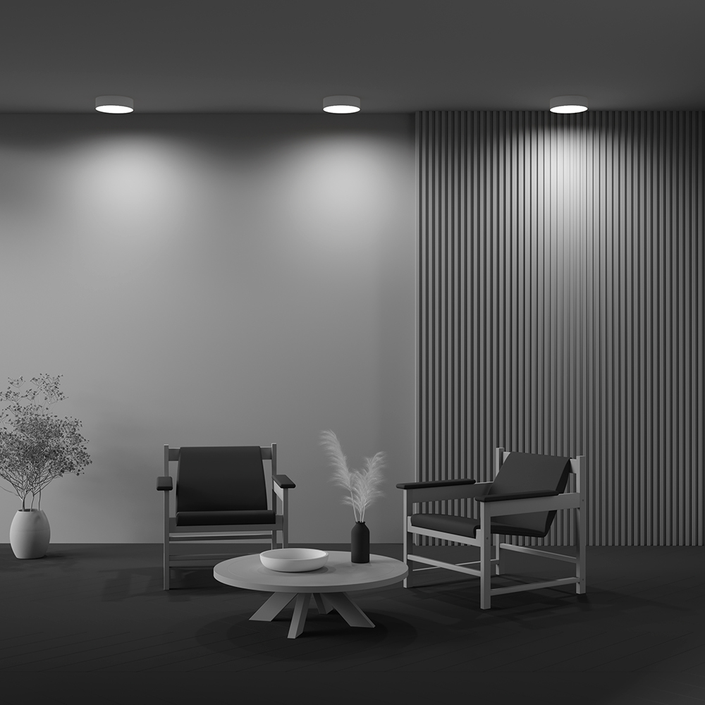 Потолочный светодиодный светильник Maytoni Technical Ceiling Zon C032CL-24W4K-RD-W