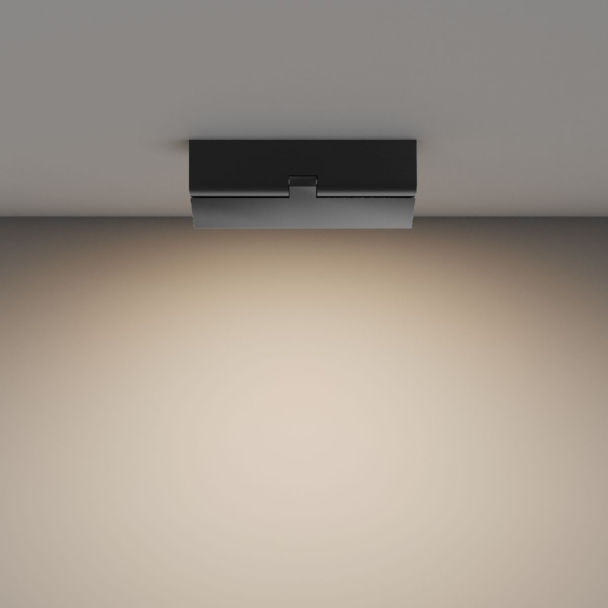 Настенно-потолочный светильник Maytoni Basis Rot C133CL-12W3K-B