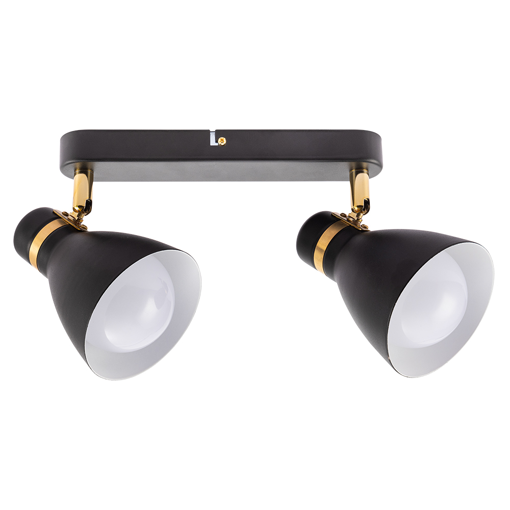 Спот потолочный на штанге Arte Lamp Fafnir A5047PL-2BK