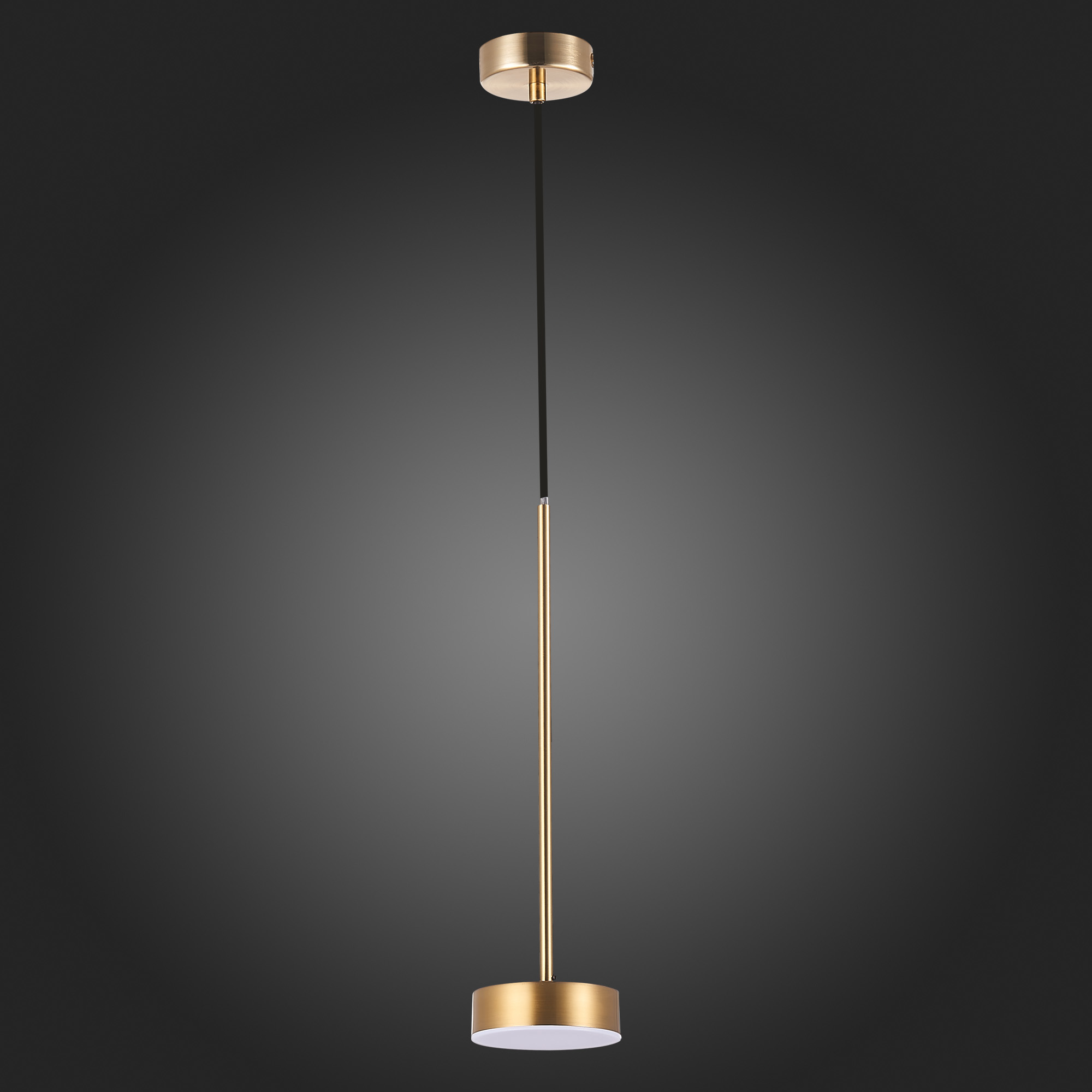 Подвесной светодиодный светильник ST Luce Pances SL6000.303.01 в Москве