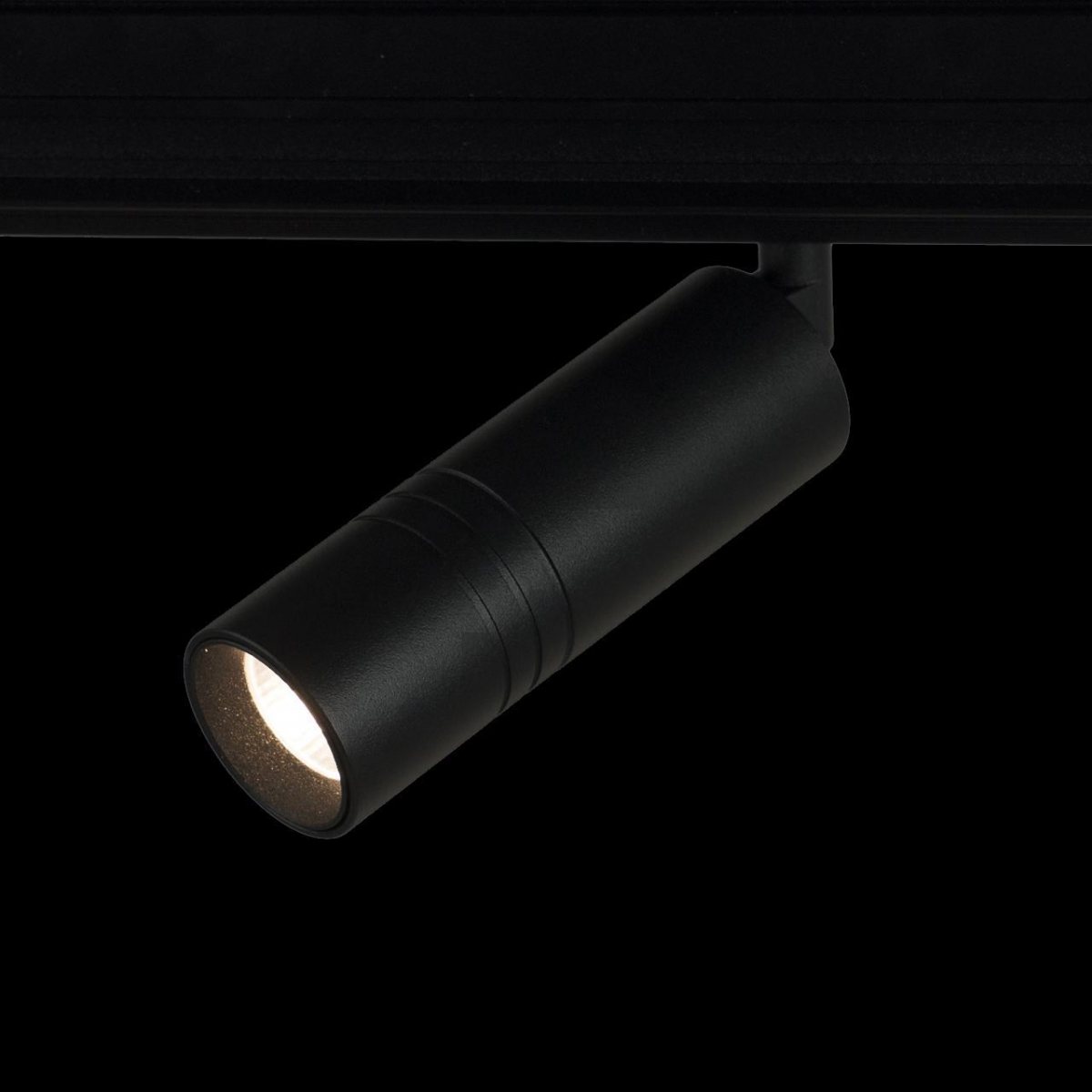 Трековый светильник Loft IT Tech T105-12
