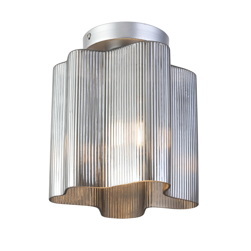 Накладной светильник ST Luce SL117.702.01