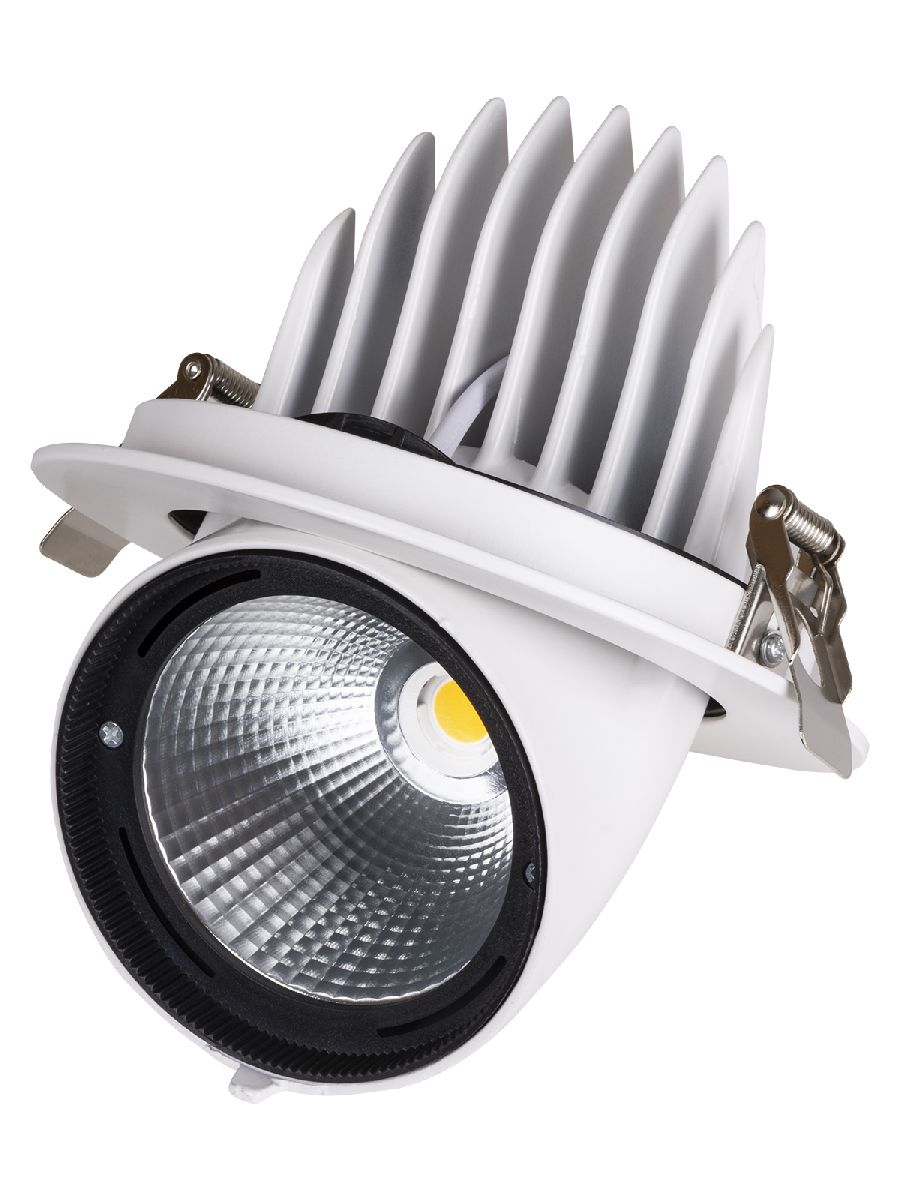 Встраиваемый светодиодный светильник TDM Electric Акцент-1DSL-01-040-NW SQ0369-0405