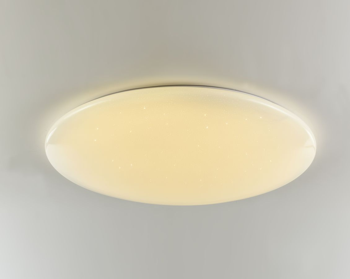 Потолочный светодиодный светильник F-Promo Luna 2319-10C
