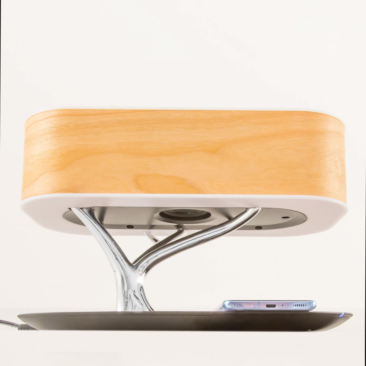 Настольная лампа Citilux Ньютон CL803042